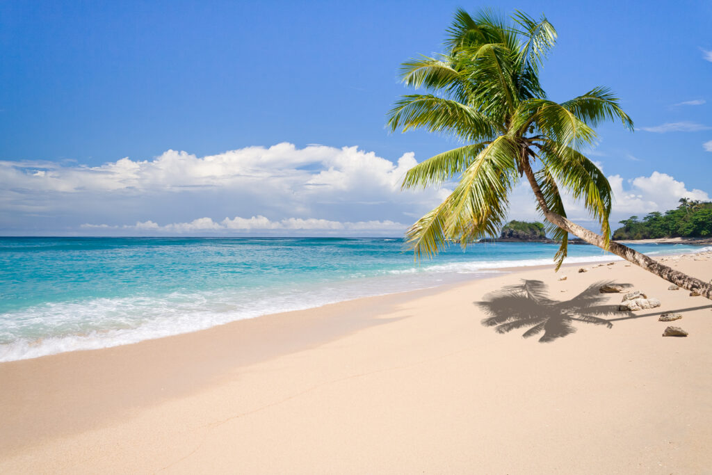 A desert island for Desert Island Digital Marketing